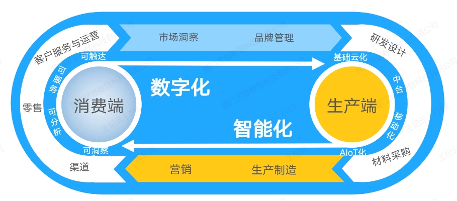 灵猫1(2).png